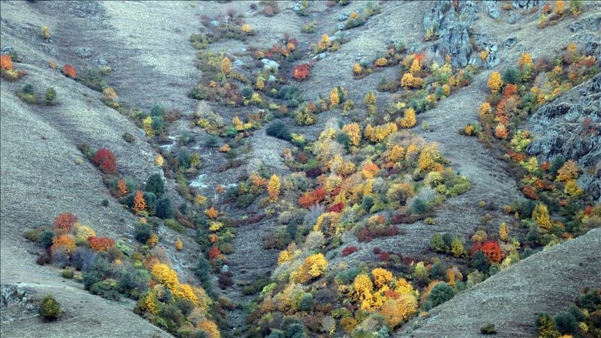  جبال “آغري” التركية.. خريف ملون ترسمه الأشجار