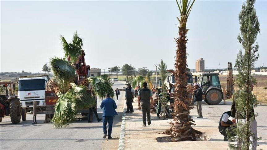  تركيا تزرع 600 شجرة في منطقة “نبع السلام” شمال سوريا