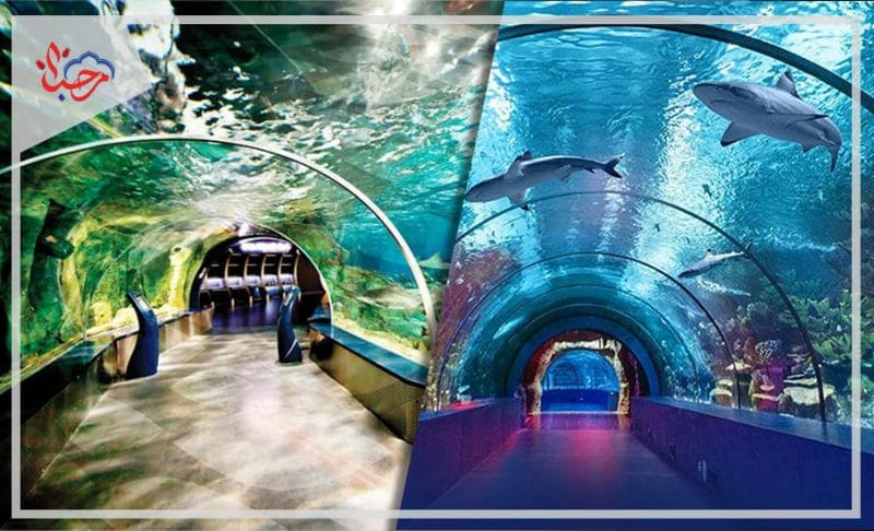 حديقة اكواريوم المائية Aquarium
