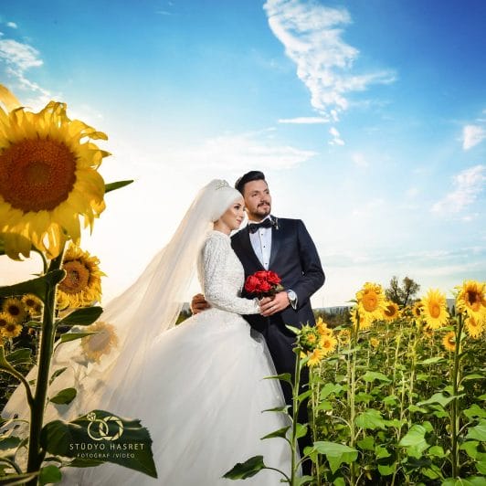 التقاط صور الزفاف في حقول دوار الشمس