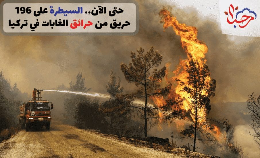 السيطرة على 196 حريق من حرائق الغابات في تركي