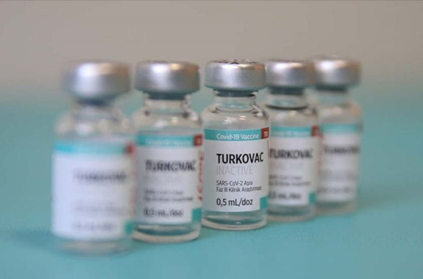 اللقاح التركي توركوفاك في طريق الاعتماد 2021
