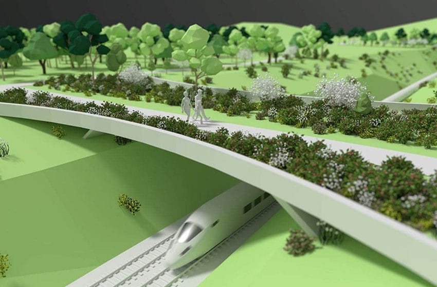 أول جسر بيئي للسكك الحديدية في العالم على خط القطار السريع