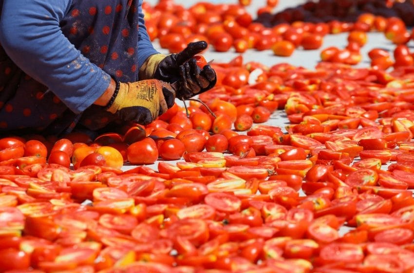  الطماطم المجففة التركية تزين أطباق العالم