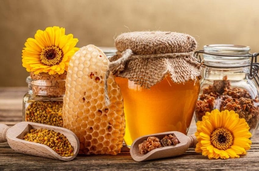 صادرات العسل التركي