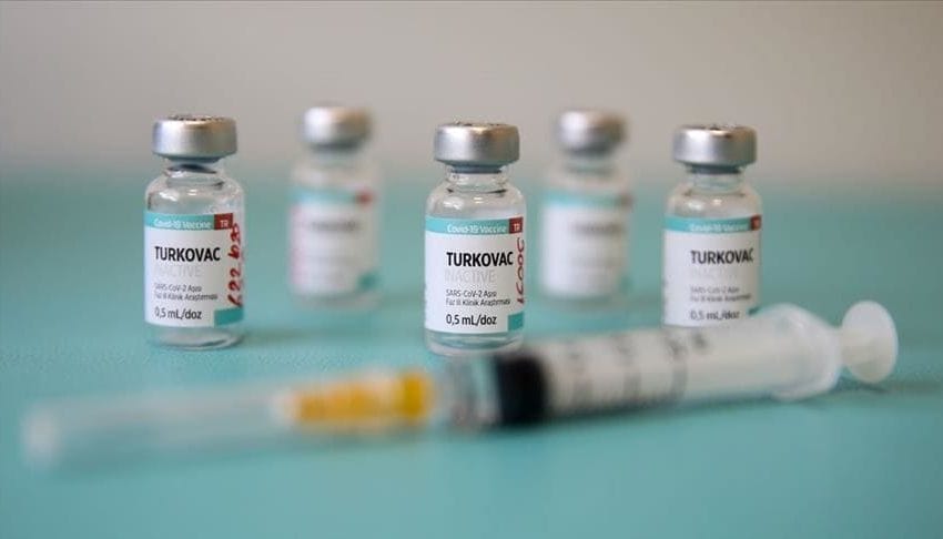 اللقاح التركي توركوفاك