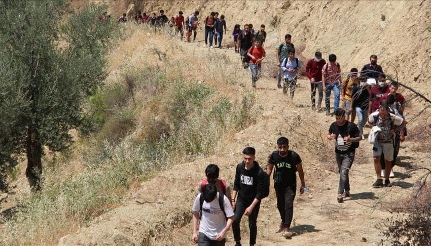  القبض على 91 مهاجر غير شرعي غربي تركيا